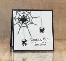 Cargar imagen en el visor de la galería, SPIDERS &amp; SPIDERWEB