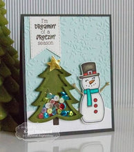 Cargar imagen en el visor de la galería, IF SNOWMEN COULD TALK